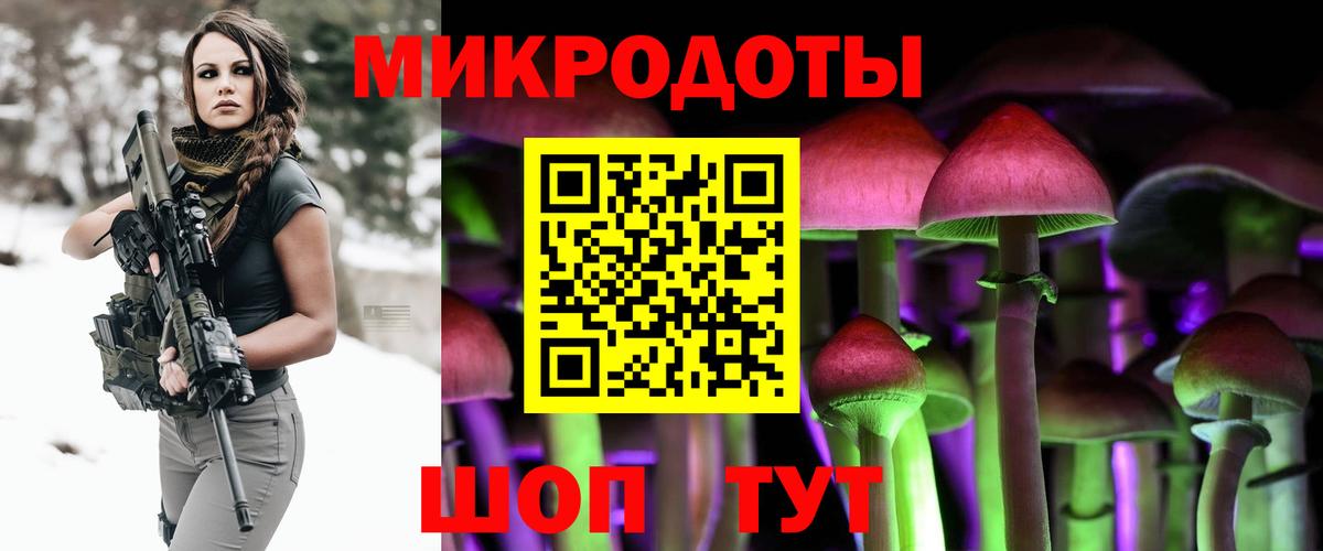 Будённовск  Псилоцибиновые грибы прущие грибы  купить наркотики сайты  Вход с VPN 